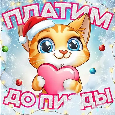 Изображение витрины 04